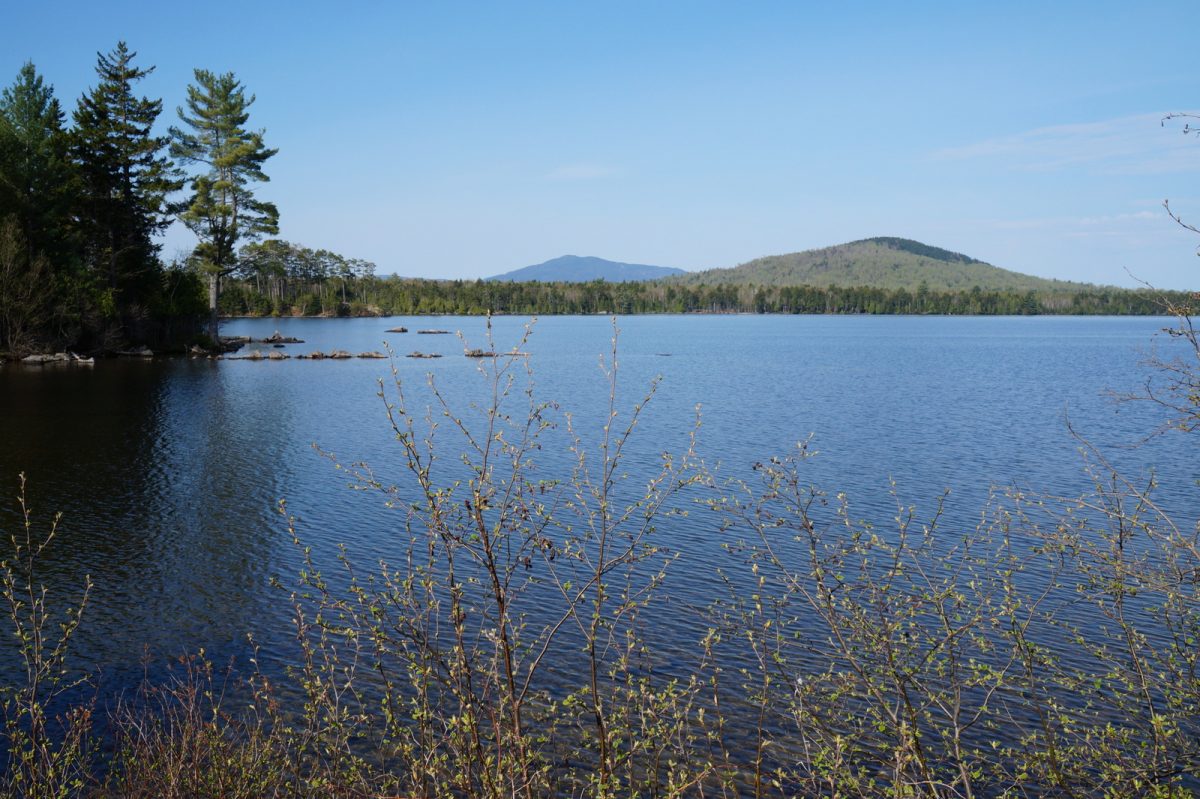 Moosehead Lake Marina Maine Boating Adventures Beaver Cove